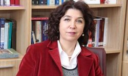 Havva Kök Arslan kimdir? Uluslararası ilişkiler uzmanı