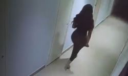 Jawhara Aboucheikh kimdir, ölümüyle ilgili şok detaylar
