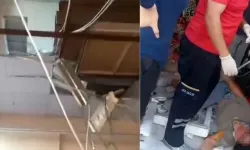 Kahramanmaraş'ta marketin asma tavanı çöktü