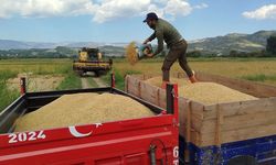 Kahramanmaraş’ta çeltik üretim maliyeti 41,80 TL’ye yükseldi