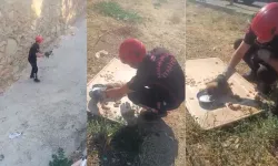 Kahramanmaraş’ta kanala düşen yavru köpek son anda kurtarıldı