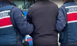 Kahramanmaraş'ta 'köpekler zehirlendi' iddiasında 1 kişi gözaltına alındı