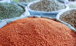 Kahramanmaraş'ta Tahıl Piyasası Kaynıyor: Mercimek Altın Fiyatını Solladı!