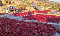 Kahramanmaraş'ta damlar kırmızıya büründü