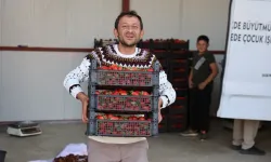 Barbunyadan çileğe: Ovacık yaylalarında talep patlaması
