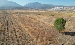 İstihdam vaat eden dev fabrika beklemede: BYD Manisa projesi durdu mu?