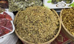 Kahramanmaraş'ta ıhlamur fiyatları uçtu: Kışın altını 3 bin 500 TL'ye çıktı!