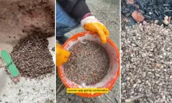 Karadeniz alarmda! “Son virajdayız” diyen vatandaş endişeyi artırdı