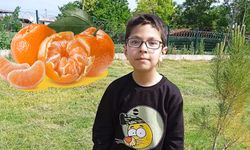 Mandalina can aldı! Kahramanmaraşlı Mahmut Enes'in acı sonu