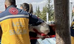 Meliha Keskin kimdir? Meliha Keskin olayı nedir? Meliha Keskin neden öldü?