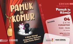 Kahramanmaraş'ta Çocuklara Özel: Hayvanları Koruma Günü Tiyatro ile Kutlanıyor.