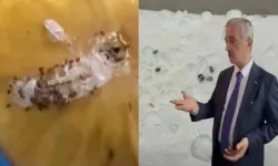 Tarihi geçmiş ürünler Kahramanmaraş’ta endişeye neden oldu