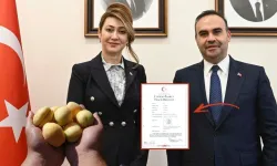 Rengi başka, tadı başka: Kayısıyı Elbistan'a tescilleyeceğiz
