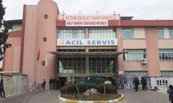 Aydın Devlet Hastanesi güvenlik görevlisi kura sonuçları açıklandı! İsim listesi sorgulama ekranı