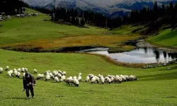 Bakanlık duyurdu! Kahramanmaraş'ta destek süreci başlıyor