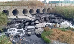 Kahramanmaraş Aksu Çayı’nda Fabrika Atığı Alarmı