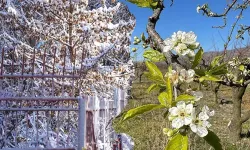 Kış normallerin üstünde geçecek: Meteoroloji'den tarım uyarısı