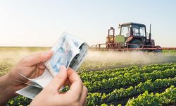 Bakanlık Açıkladı: Kahramanmaraş’ta Üreticilere Yeni Destek Ödemesi