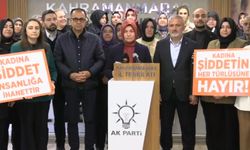 AK Parti Kadın Kollarından 25 Kasım mesajı: "Kadına yönelik şiddet insanlık suçudur"