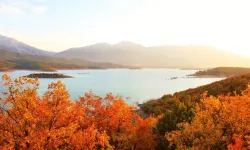 Kahramanmaraş'ta sonbahar renk cümbüşü mest etti