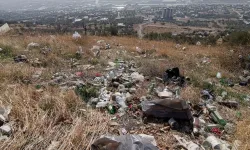 Kahramanmaraş'ta zeytinlik alandaki alkol rezaleti tepki çekti