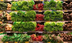 Kahramanmaraş'ta kendi işini kurmak isteyen gençlere altın fırsat: KDAKP başvuruları başladı