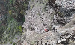 Kahramanmaraş'ta kayalıklarda mahsur kalan keçiler kurtarıldı