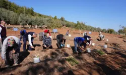 MADO’dan Stratejik Adım: Maraş Dondurması İçin Özel Salep Üretimi Başlatıldı