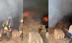 Kahramanmaraş’ta çiftlik yangını: Samanlık küle dönmekten kurtuldu