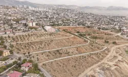 Kahramanmaraş’ta Şehir Merkezine 3 Bin Yeni Ağaç