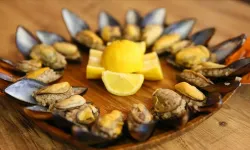 Çiğ midye tüketmek tehlikeli mi? Uzmanlardan kritik uyarı
