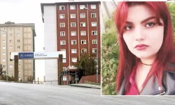 Mizgin Ertekin Kimdir, Nereli?