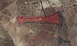 Pazarcık’taki 10 Dönümlük Bağ İcradan Satışa Sunuldu