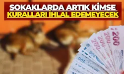 Artık Sokaklarda Kuralsızlık Yok: Denetimler Sürüyor