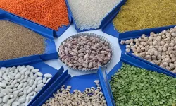 Yeşil Mercimek ve Yulaf İthalatında Gümrük Vergisi Azaltıldı