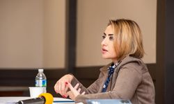 Alin Ozinian Kimdir? Türkiye-Ermenistan İlişkileri Uzmanı