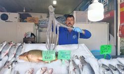 Kahramanmaraş'ta deniz yok ama balık var! Tezgahlarda bereket var