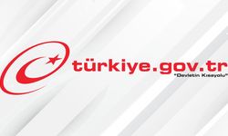 e-Devlet Neden Açılmıyor? 29 Aralık Giriş Sorunu ve Son Durum