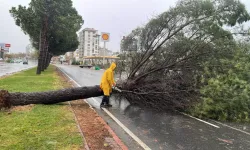 Kahramanmaraş’ta hava sertleşiyor: Don riski ve rüzgâr uyarısı