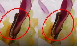 Kahramanmaraş'ta KYK yemekhanesi skandalı! Tırtıl görüntülendi