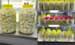 Bu peynir çok başka: Kahramanmaraşlılar çok seviyor!