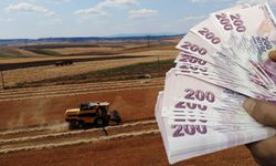Kahramanmaraşlı çiftçilere müjde! Beklenen ödemeler hesaplarda