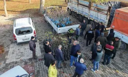 Kahramanmaraş'ta Yüzde 50 Hibeli Fidan Dağıtımı