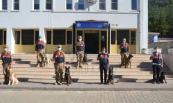 43 Şüpheliye Gözaltı! Kahramanmaraş’ta Yasaklı Maddeye Geçit Yok