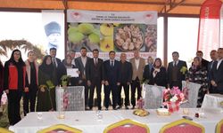 Kahramanmaraş’ta Abbas inciri fidanı ve kurutma kereveti dağıtıldı