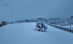 20 Ocak İstanbul Kar Tatili Olan Üniversiteler Listesi: Hangi Üniversiteler Eğitime Ara Verdi?