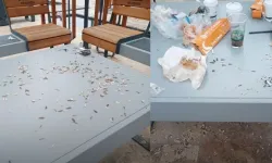 Yer: Kahramanmaraş... Yediler, içtiler, çöplerini bırakıp gittiler