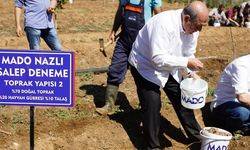 MADO’dan "Salep Manifestosu"