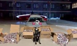 Kahramanmaraş'ta Dev Narkotik Operasyonu: 170 Bin Hap Yakalandı