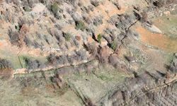 Nurhak’ta tarım zararlısı yaban domuzlarına karşı av